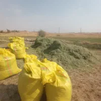 یونجه درجه یک