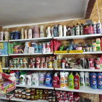 کالا برگ سری چهار|خوردنی و آشامیدنی|شیراز, محراب|دیوار