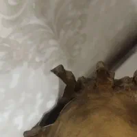 مجسمه|مجسمه، تندیس، ماکت|شهرکرد, |دیوار