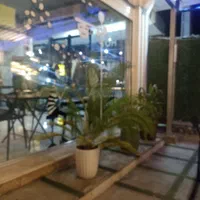 اشپز حرفه ای