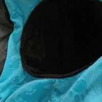 لونه پت