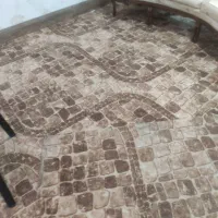 موکت دست دوم توافقی|موکت|بوشهر, |دیوار