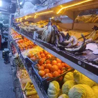 دکور مغازه میوه فروشی|فروشگاه و مغازه|زابل, |دیوار