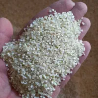 خورده برنج|خوردنی و آشامیدنی|شیراز, کوشک میدان|دیوار