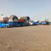 کاه گندم دیم سنم