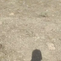 قطعه زمین مسکونی در جلفا