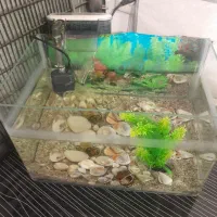 آکواریوم زیبا با پمپ آبشاری کامل|ماهی|ابریشم, |دیوار