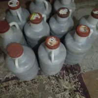 خیارشوردبه ای هشت کیلوخالص