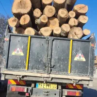 خرید و فروش انواع چوب های باغی|عمدهفروشی|بجنورد, |دیوار