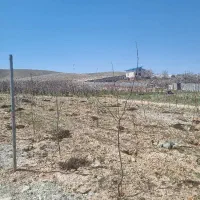 زمین ۵۱۰|فروش زمین و ملک کلنگی|تهران, بوستان سرخه حصار|دیوار