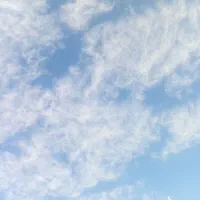 باسلام ضمانت وام میشم باپروانه کسب وچک