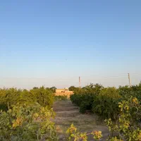 باغ-سرسبز-و-قیمت-مناسب