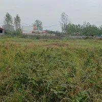 فروش یک قطعه زمین