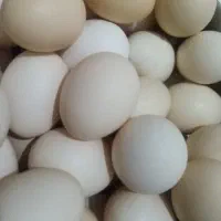 تخم مرغ محلی