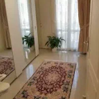 تمیزی منزل