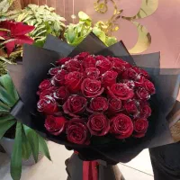 گل رز|گل و گیاه طبیعی|اصفهان, شاهزید|دیوار