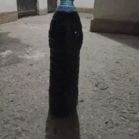 ماهی|ماهی|گلبهار, شهر جدید گلبهار|دیوار