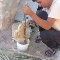 عسل محلی طبیعی