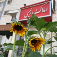 پیش-فروش-3خواب175متری-صنایعدکتر-حسابی