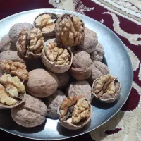 گردو.کیلوی ۴۵۰هزارتومان|خوردنی و آشامیدنی|بیرانوند, |دیوار