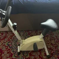 دوچرخه ثابت