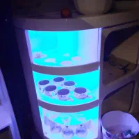 تور کویر گردی تهرانگردی و ..|تور و چارتر|تهران, نمایشگاه بین المللی|دیوار