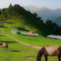 1802 متر زمین