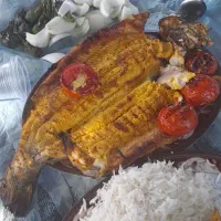 بیرون برمرغ کوبیده جوجه خورشت استانبولی قیمت مناسب|خدمات پذیرایی، مراسم|شهرضا, |دیوار