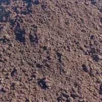 کود گاوی نرم