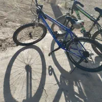 دوچرخه 26ویوا