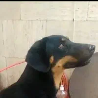 گمشده شما نیست