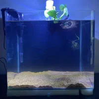 اکواریوم -مهتابی-فیلتر