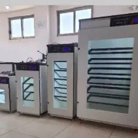 کارآفرینی  های موفق با دستگاه های جوجه کشی هدایت