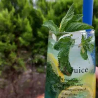 نیازمند همکار ادمین و تولید محتوا کافه و رستوران|استخدام رایانه و فناوری اطلاعات|رشت, پیله داربن|دیوار