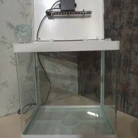 مینی آکواریوم