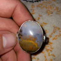 انگشتر شجر پاییزه