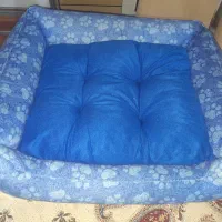 جای خواب گربه و اسکرچر