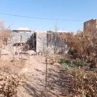 باغ چهاردیواری|فروش زمین و ملک کلنگی|برخوار, |دیوار