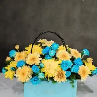 باکس تخفیفی روزانه