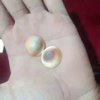 اصلی