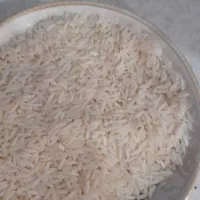 برنج طارم هاشمی فروش فوری|خوردنی و آشامیدنی|مشهد, حضرت حجت|دیوار