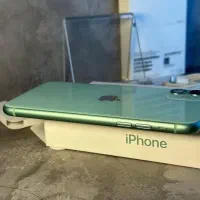 Iphon 11|موبایل|رشت, کاکتوس|دیوار