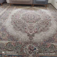 یک جفت قالی ماشینی 12 متری