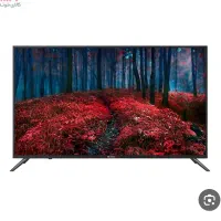 بدون هیچ سود|تلویزیون و پروژکتور|نیشابور, ناسیونال|دیوار