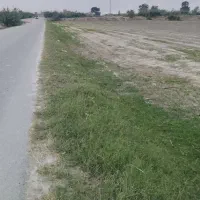 زمین-کشاورزی-و-باغی-مهتر-کلاته