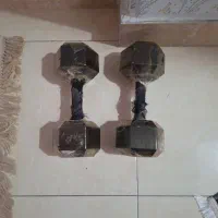 دمبل ۱۰ کیلویی