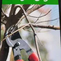 هرس درختچه های باغچه و منازل