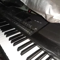 korg pa600 qt|پیانو، کیبورد، آکاردئون|دماوند, گیلاوند|دیوار