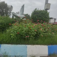 خانه-اجاره-ای-دربست