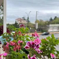 اجاره واحد ۸۰ متری یک خواب  تنکابن|اجارهٔ آپارتمان|نشتارود, |دیوار